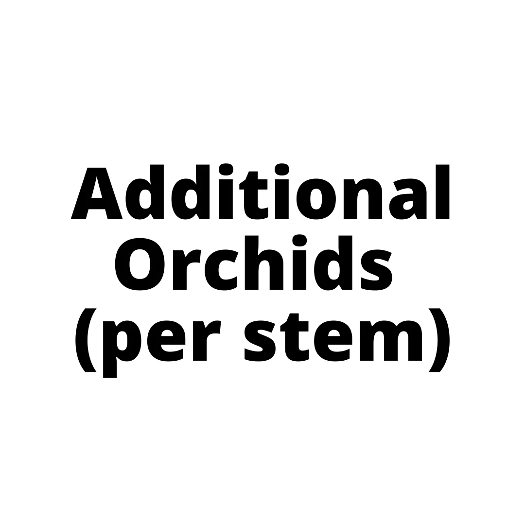 Additional Orchids  (per stem)