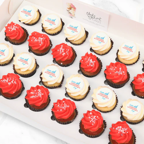 Chartered Accountants Day Mini Cupcakes (24)
